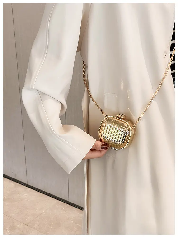 Golden Coin Purse Crossbody Bag 2026 Fashion — feature 11