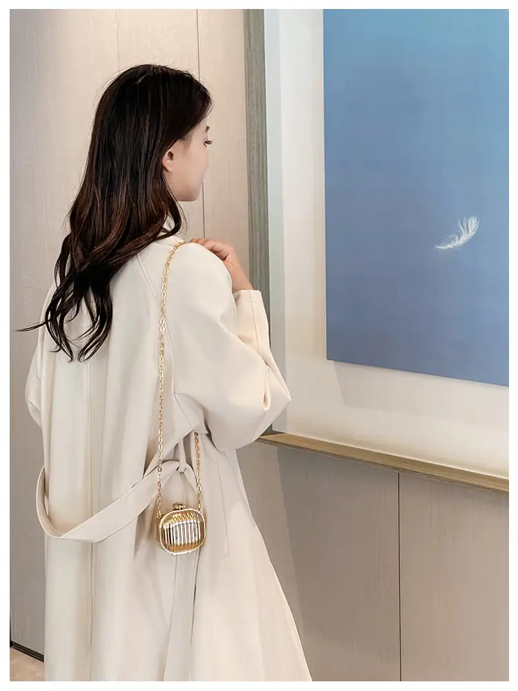 Golden Coin Purse Crossbody Bag 2026 Fashion — feature 14