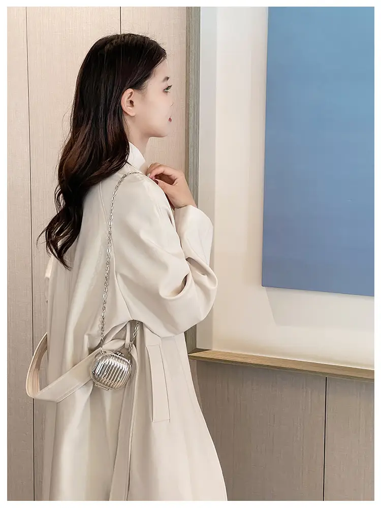 Golden Coin Purse Crossbody Bag 2026 Fashion — feature 4