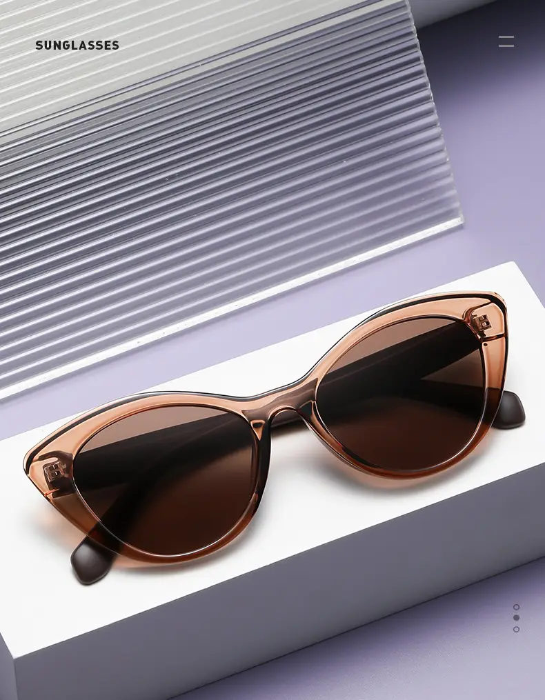 Retro Cat's Eye Anti-UV Sunglasses Large Frame β feature 3