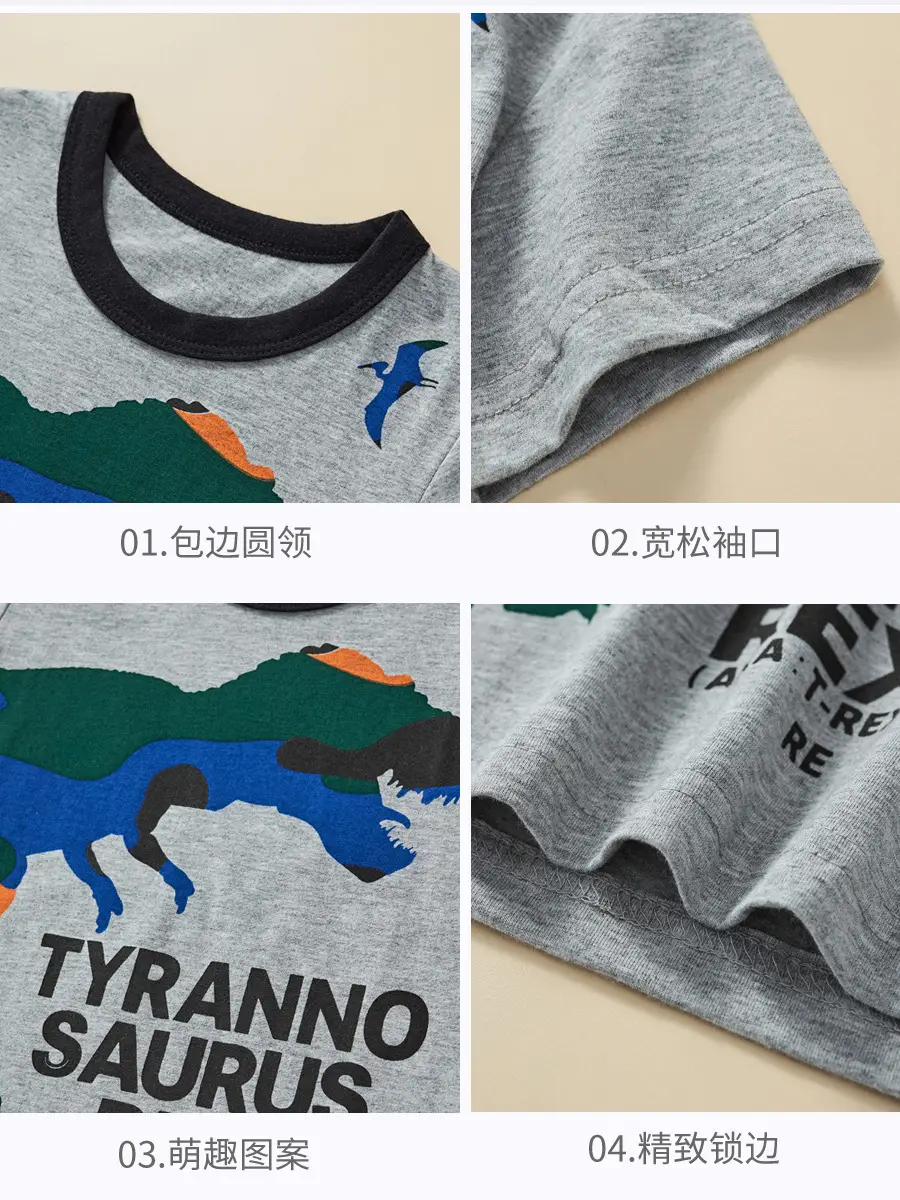 2025 Kids Cartoon Dinosaur T-Shirt Boys Grey - Image 5