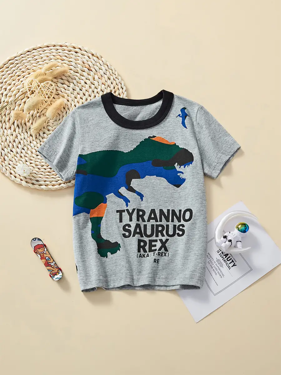2025 Kids Cartoon Dinosaur T-Shirt Boys Grey - Image 6