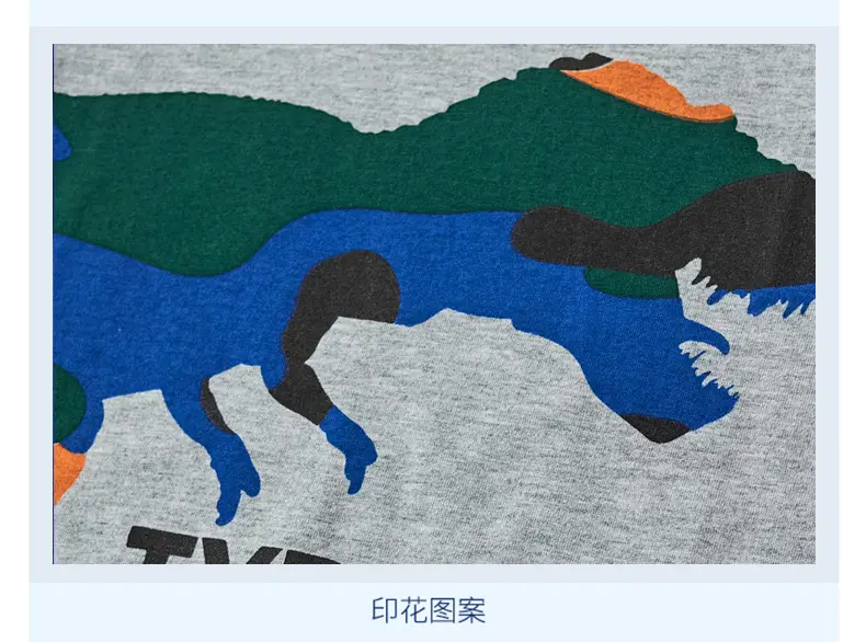 2025 Kids Cartoon Dinosaur T-Shirt Boys Grey — feature 11