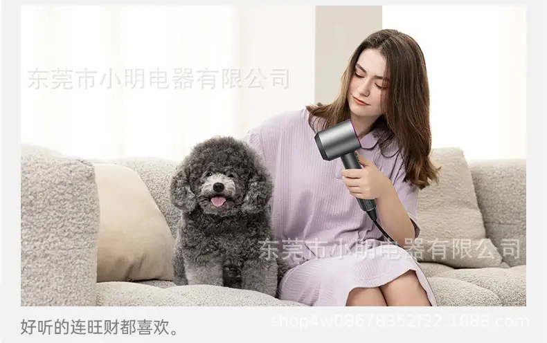 Supersonic High Speed Hair Dryer with Negative Ion Technology — feature 23