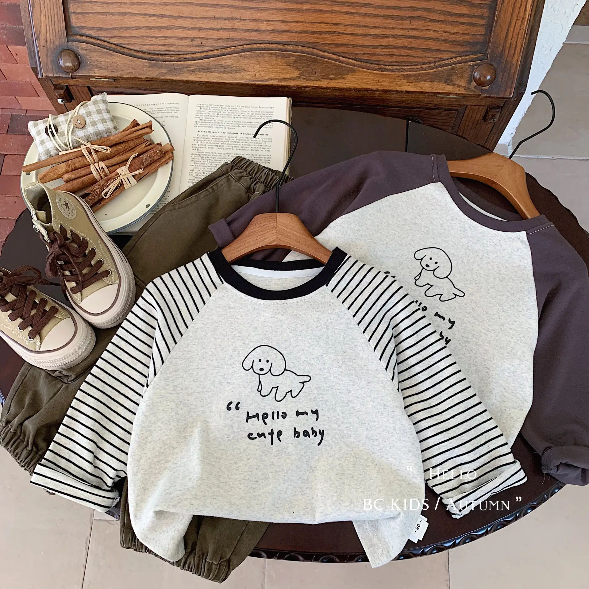 Boys Raglan Sleeve T-Shirt with Cute Print