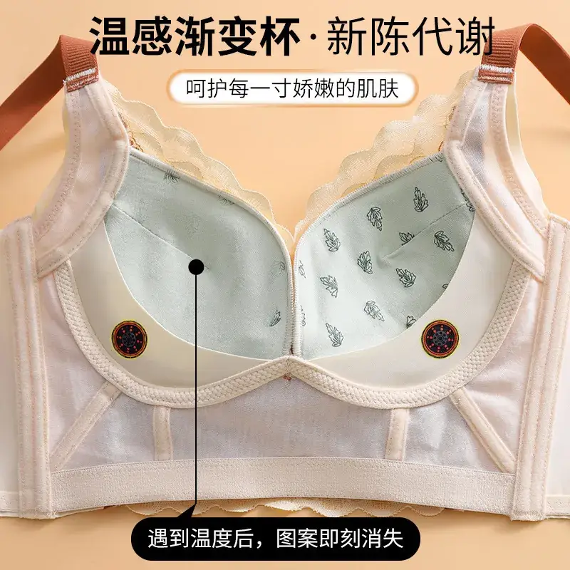 French Lace Push Up Bra Women Small Adjustable