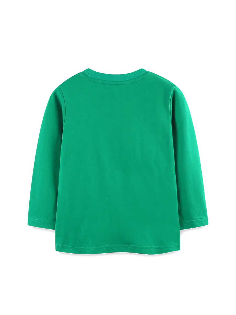 2025 Kids T-Shirt Green Animal Print Long Sleeve - Image 3
