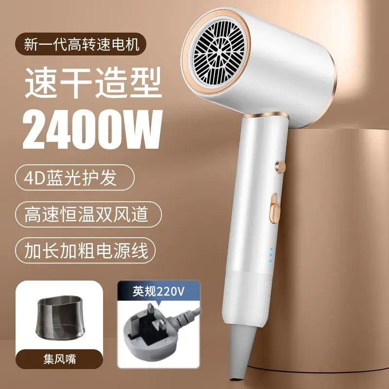 2400W High-Speed Hair Dryer with Blue Light & 110V