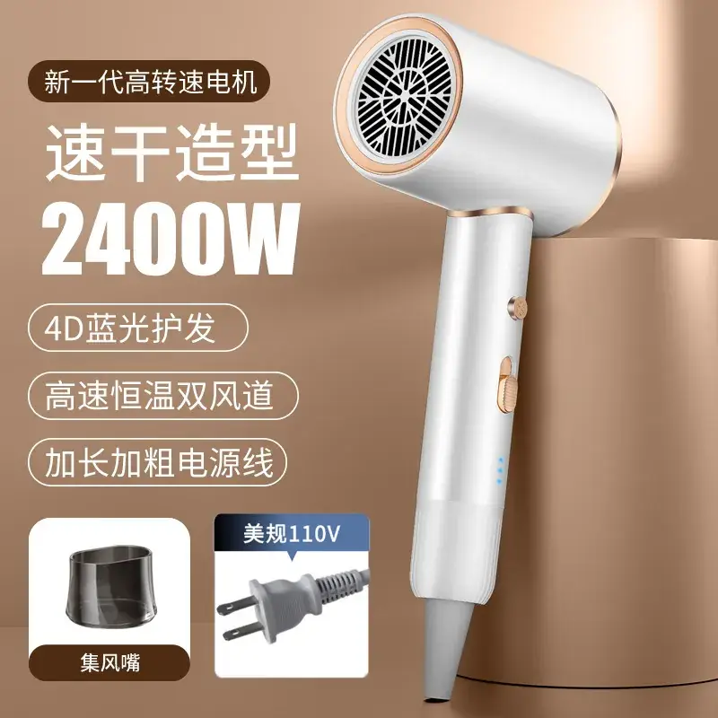 2400W High-Speed Hair Dryer with Blue Light & 110V