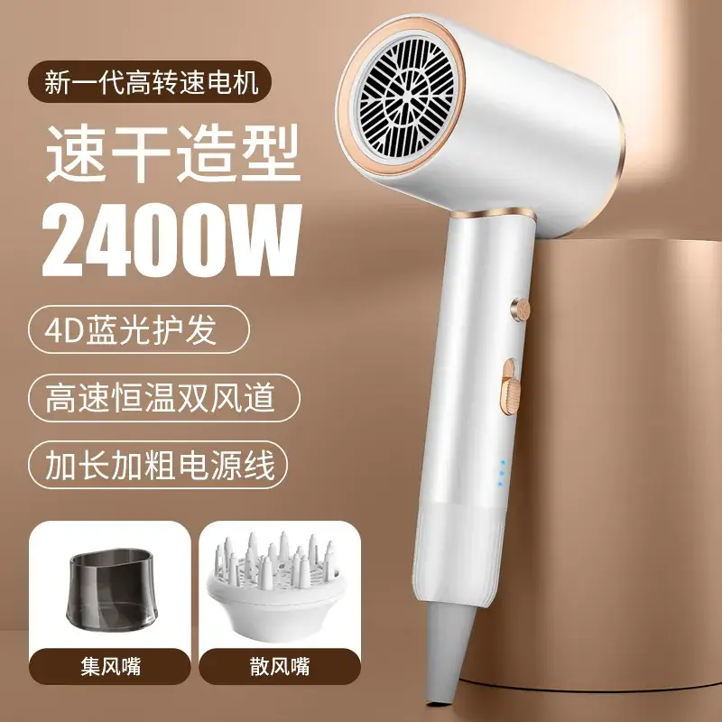 2400W High-Speed Hair Dryer with Blue Light & 110V