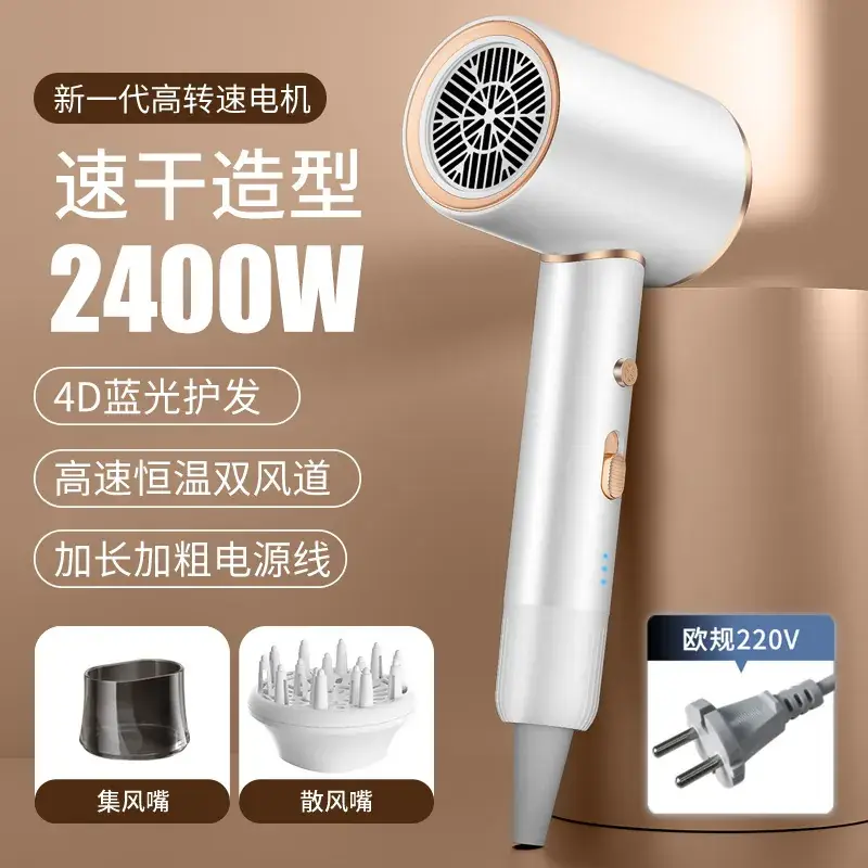2400W High-Speed Hair Dryer with Blue Light & 110V