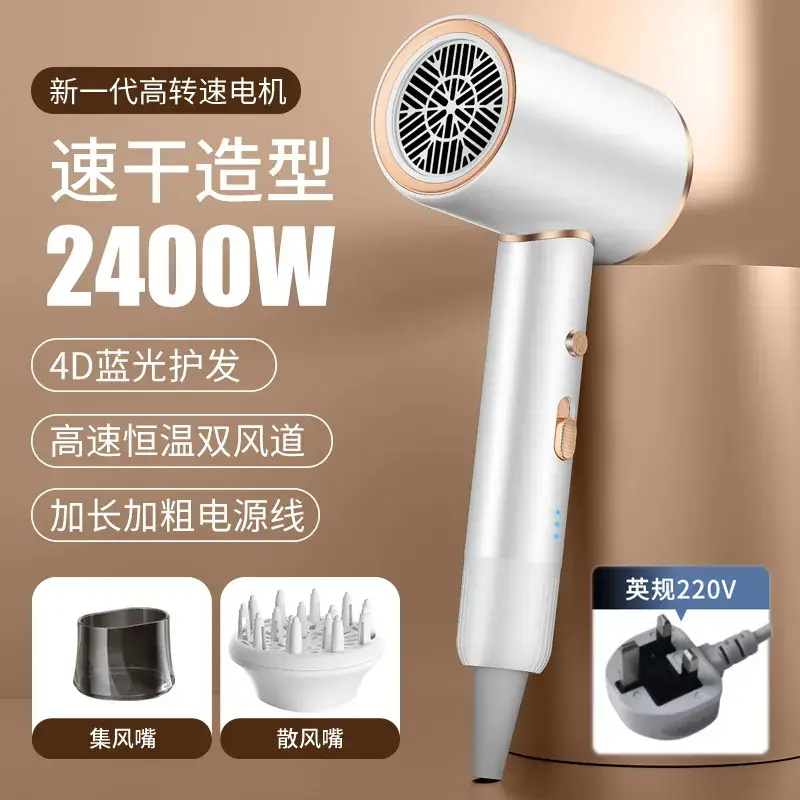 2400W High-Speed Hair Dryer with Blue Light & 110V