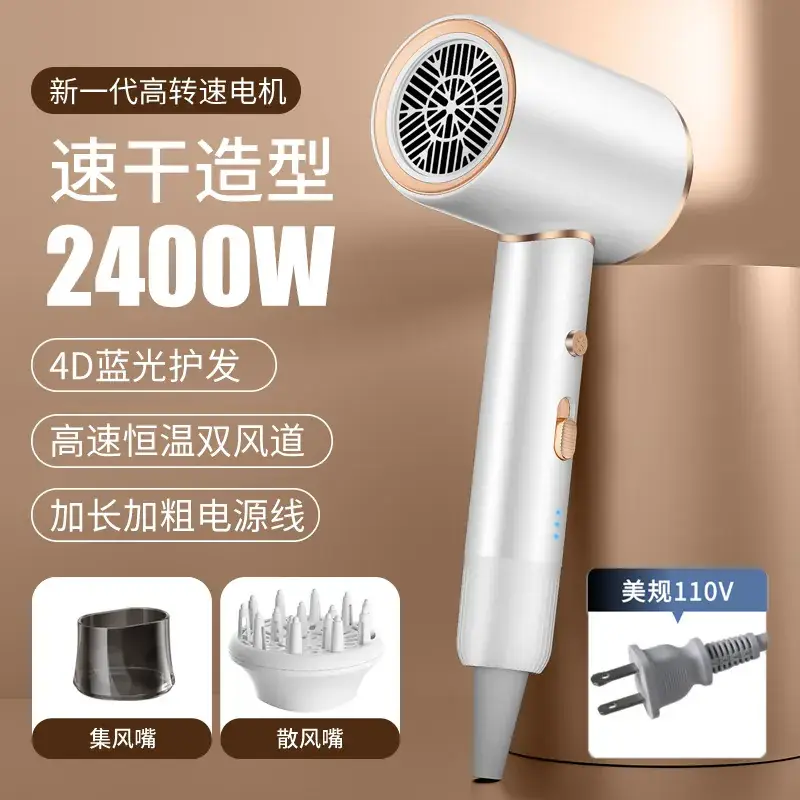 2400W High-Speed Hair Dryer with Blue Light & 110V