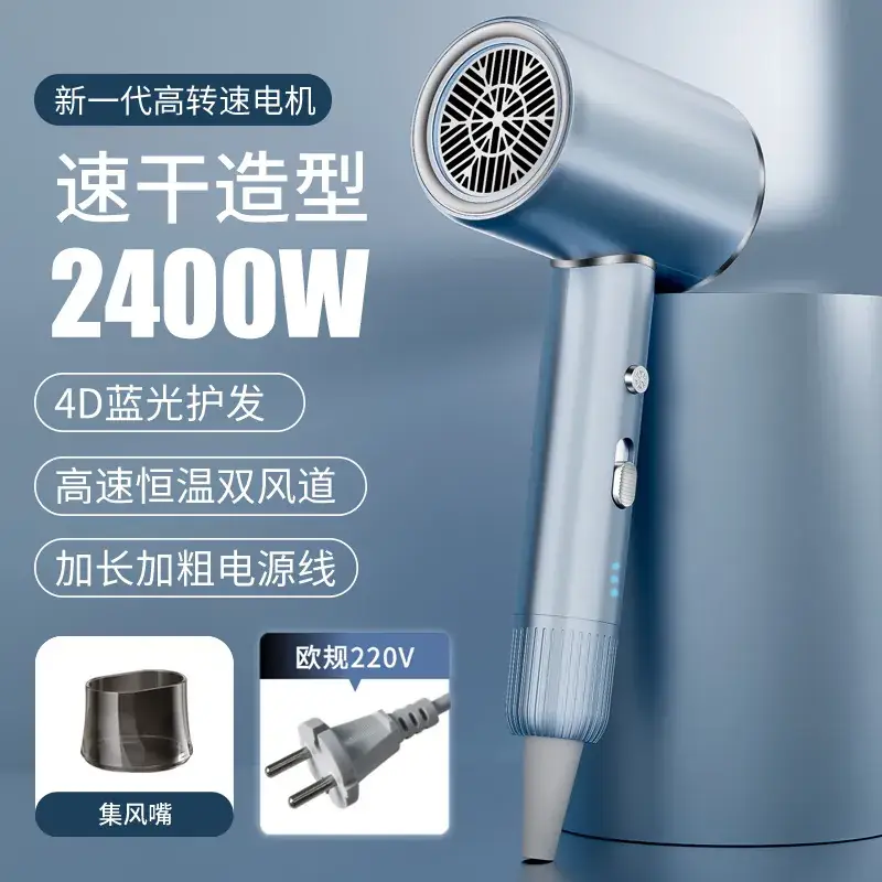 2400W High-Speed Hair Dryer with Blue Light & 110V
