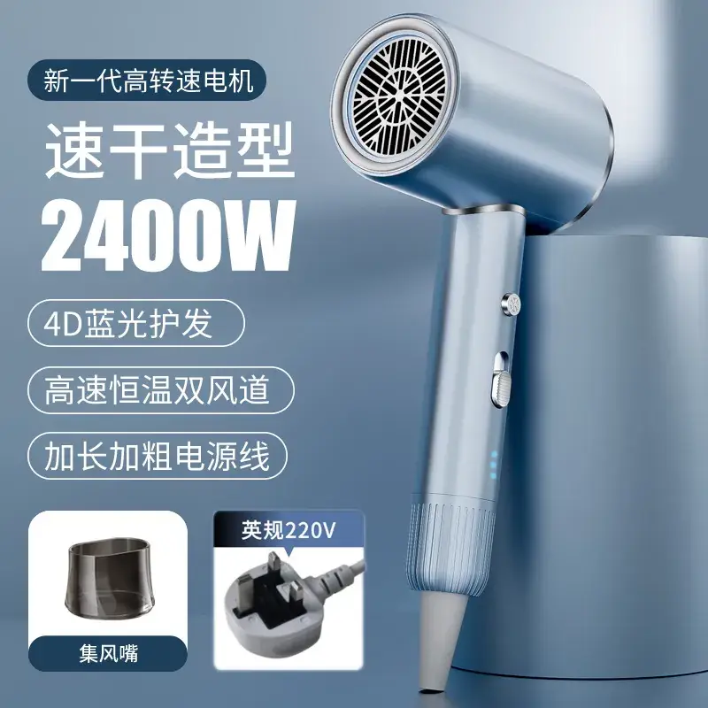 2400W High-Speed Hair Dryer with Blue Light & 110V