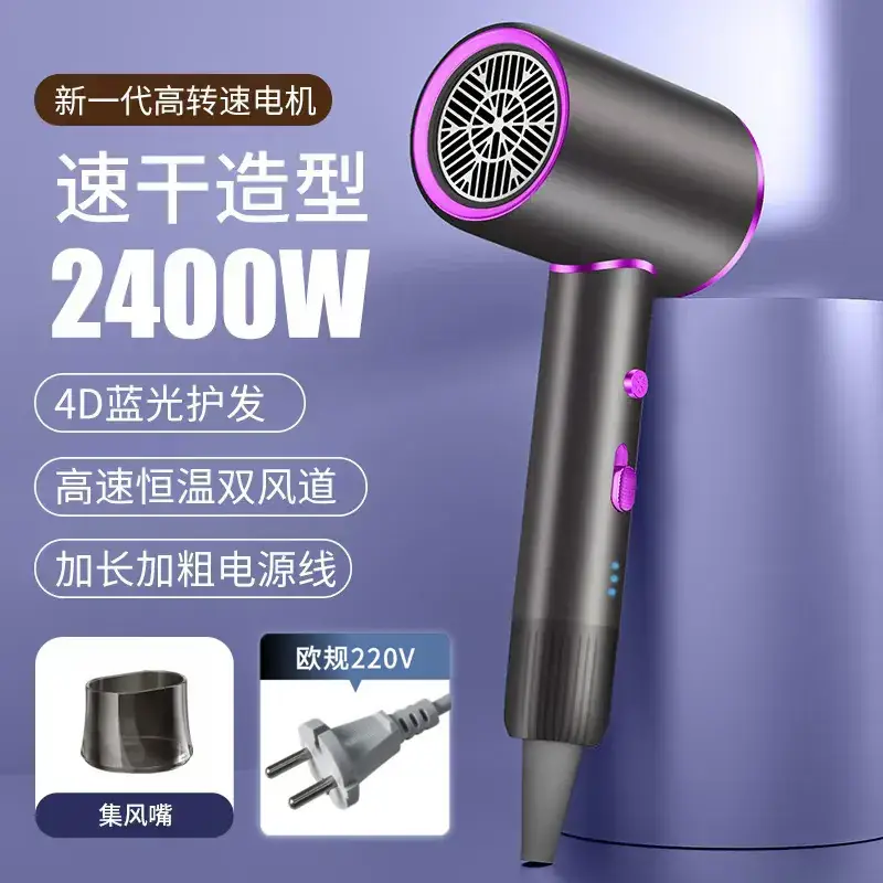 2400W High-Speed Hair Dryer with Blue Light & 110V