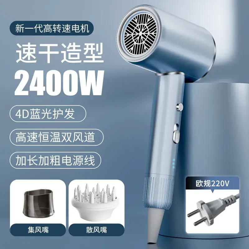 2400W High-Speed Hair Dryer with Blue Light & 110V
