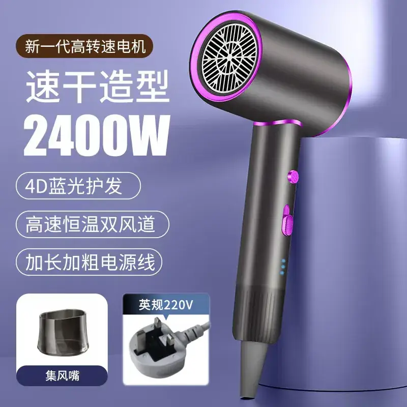 2400W High-Speed Hair Dryer with Blue Light & 110V