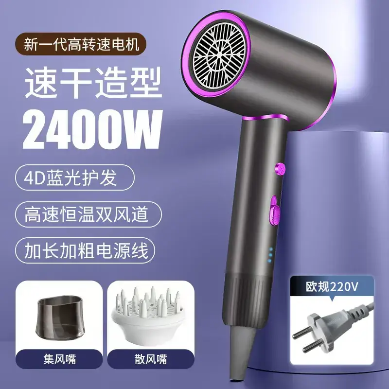 2400W High-Speed Hair Dryer with Blue Light & 110V