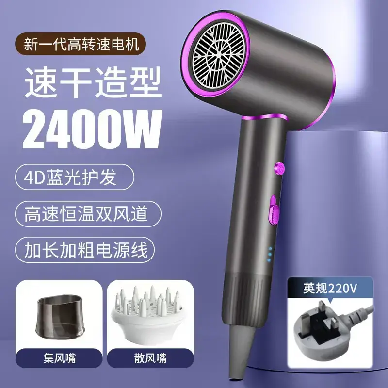 2400W High-Speed Hair Dryer with Blue Light & 110V