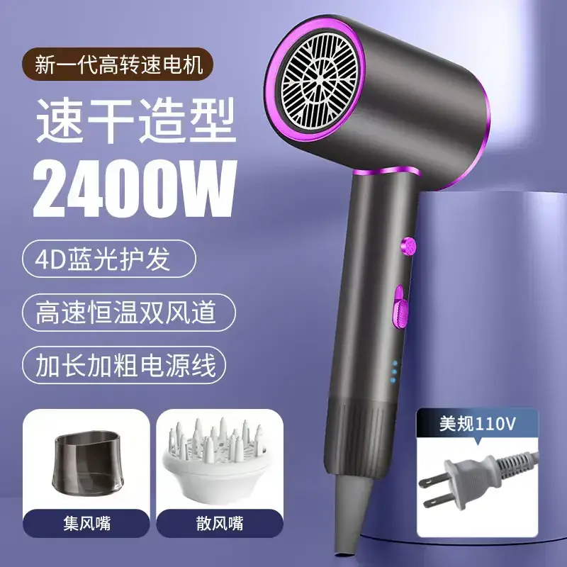 2400W High-Speed Hair Dryer with Blue Light & 110V