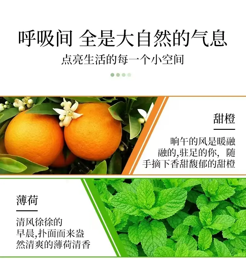 Perfume Aromatherapy Essential Oil Fire-Free Water-Soluble Humidifier Aromatherapy Essential Oil Home Bedroom Car Air Freshener — feature 5