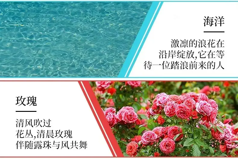 Perfume Aromatherapy Essential Oil Fire-Free Water-Soluble Humidifier Aromatherapy Essential Oil Home Bedroom Car Air Freshener — feature 6