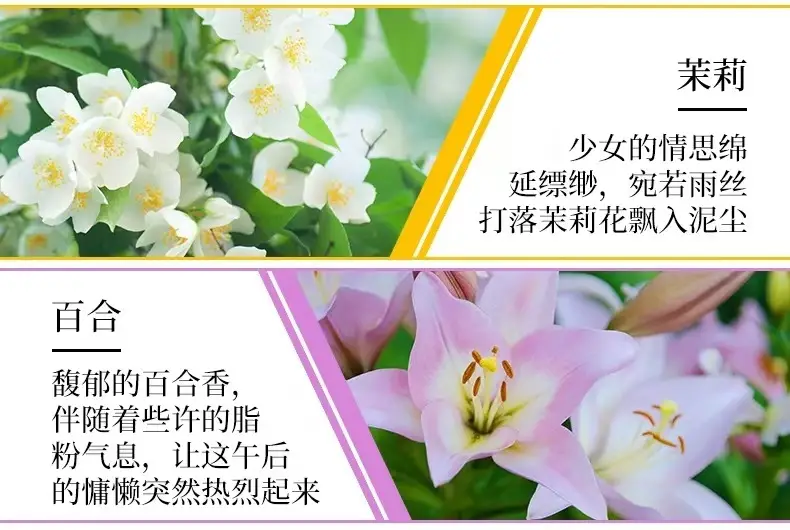 Perfume Aromatherapy Essential Oil Fire-Free Water-Soluble Humidifier Aromatherapy Essential Oil Home Bedroom Car Air Freshener — feature 7