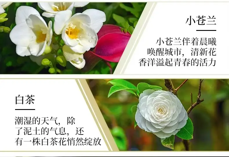 Perfume Aromatherapy Essential Oil Fire-Free Water-Soluble Humidifier Aromatherapy Essential Oil Home Bedroom Car Air Freshener — feature 8