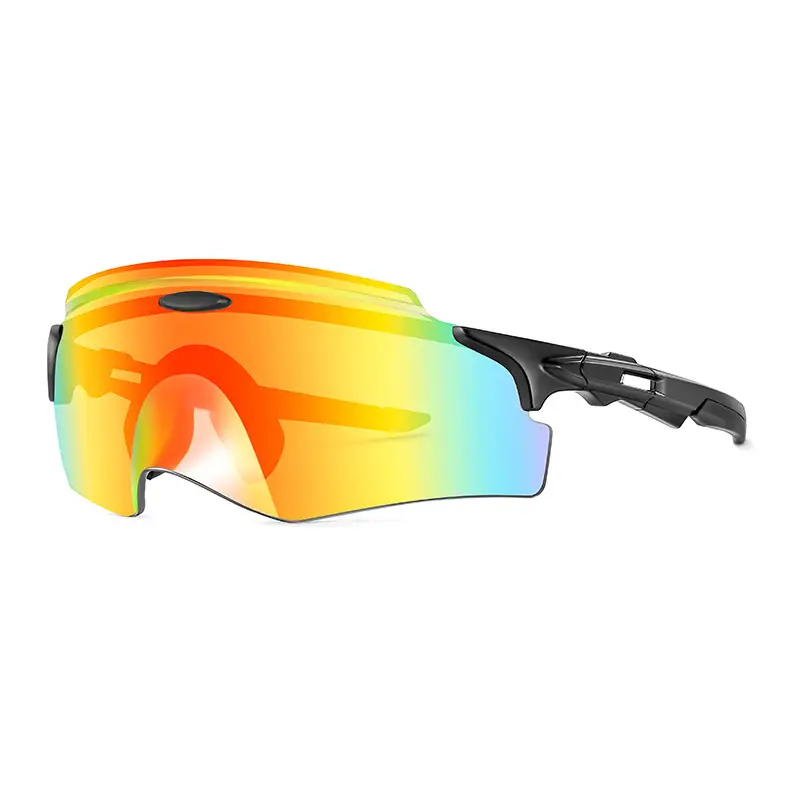 European Riding Sunglasses with Colorful Lenses