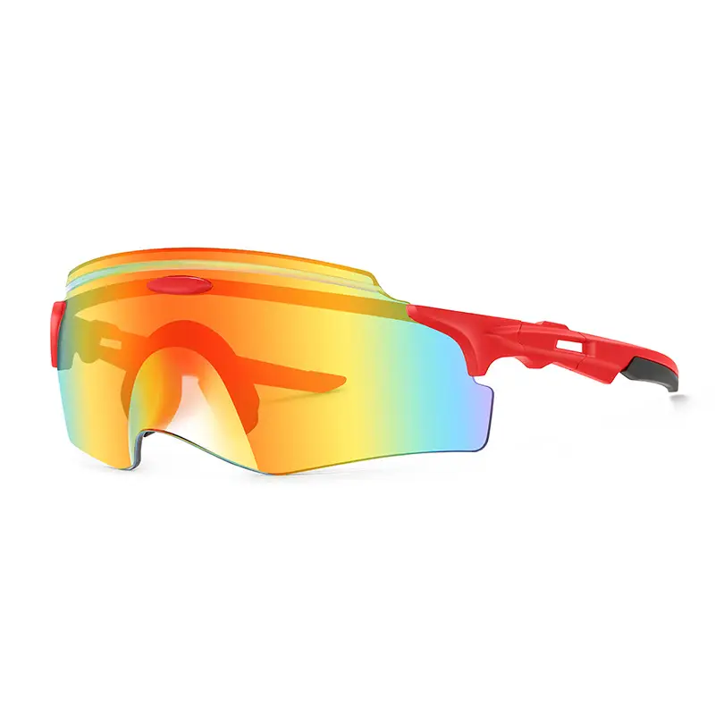 European Riding Sunglasses with Colorful Lenses