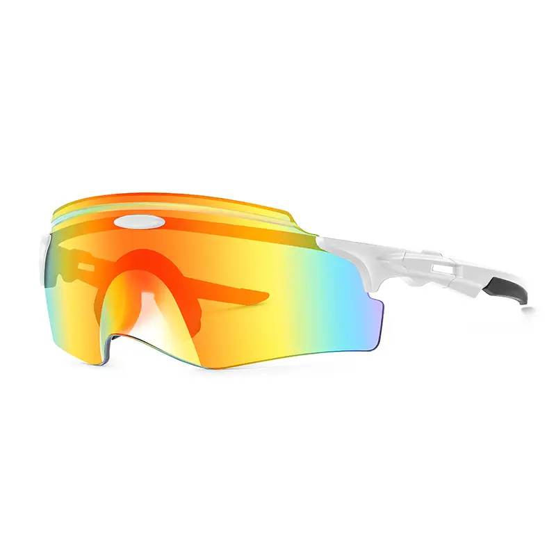 European Riding Sunglasses with Colorful Lenses