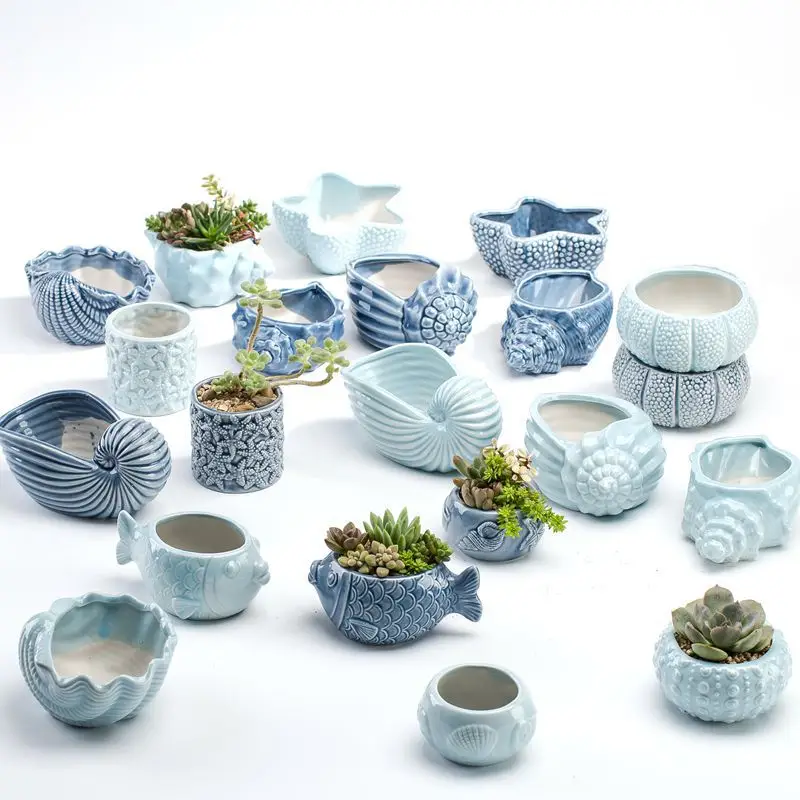 Ocean Fleshy Flower Pot Ornaments Cute Cartoon Whale Shell Meat Plant Small Flower Pot Cross-border Special for Wholesale — feature 1