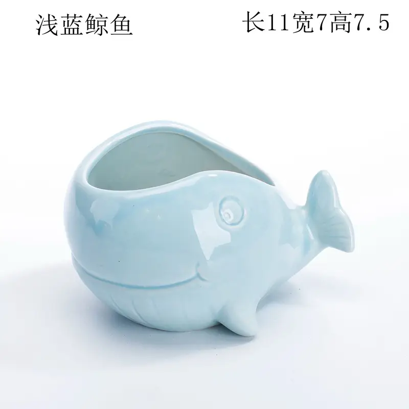 Ocean Fleshy Flower Pot Ornaments Cute Cartoon Whale Shell Meat Plant Small Flower Pot Cross-border Special for Wholesale — feature 11