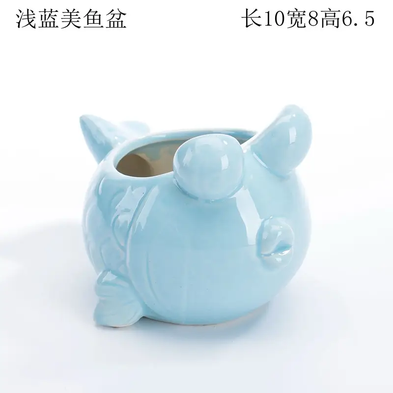 Ocean Fleshy Flower Pot Ornaments Cute Cartoon Whale Shell Meat Plant Small Flower Pot Cross-border Special for Wholesale — feature 13