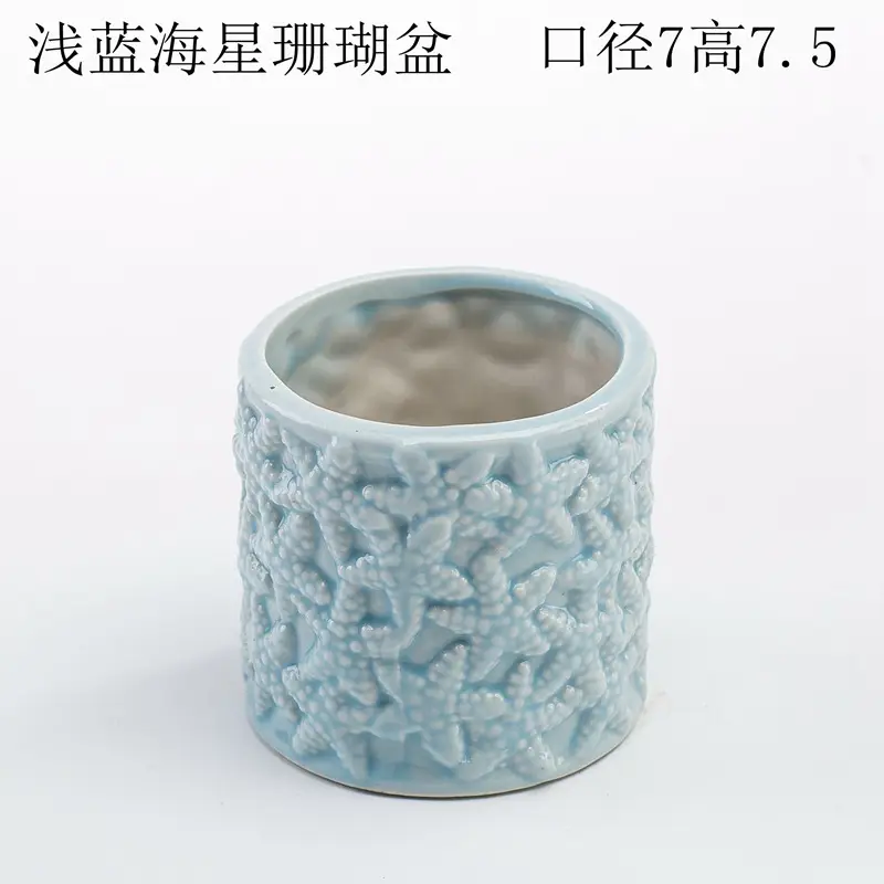 Ocean Fleshy Flower Pot Ornaments Cute Cartoon Whale Shell Meat Plant Small Flower Pot Cross-border Special for Wholesale — feature 15