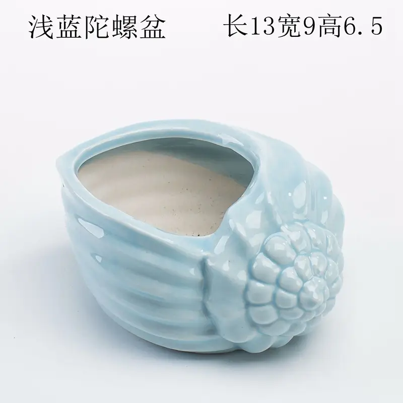 Ocean Fleshy Flower Pot Ornaments Cute Cartoon Whale Shell Meat Plant Small Flower Pot Cross-border Special for Wholesale — feature 16