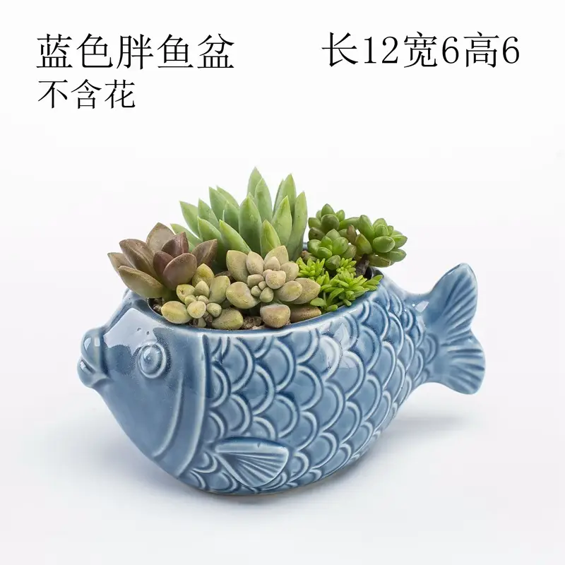Ocean Fleshy Flower Pot Ornaments Cute Cartoon Whale Shell Meat Plant Small Flower Pot Cross-border Special for Wholesale — feature 2