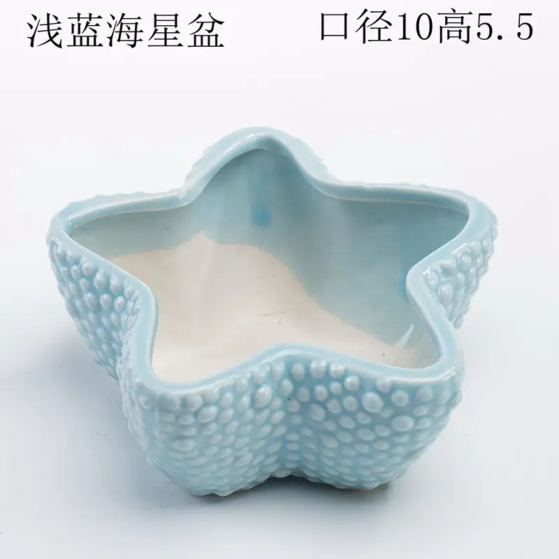 Ocean Fleshy Flower Pot Ornaments Cute Cartoon Whale Shell Meat Plant Small Flower Pot Cross-border Special for Wholesale — feature 20