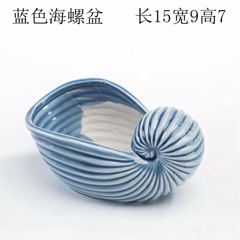 Ocean Fleshy Flower Pot Ornaments Cute Cartoon Whale Shell Meat Plant Small Flower Pot Cross-border Special for Wholesale — feature 22