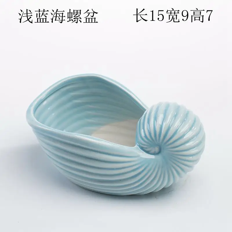 Ocean Fleshy Flower Pot Ornaments Cute Cartoon Whale Shell Meat Plant Small Flower Pot Cross-border Special for Wholesale — feature 23