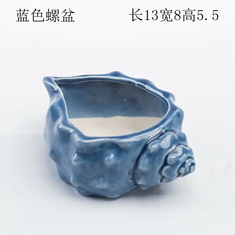 Ocean Fleshy Flower Pot Ornaments Cute Cartoon Whale Shell Meat Plant Small Flower Pot Cross-border Special for Wholesale — feature 26
