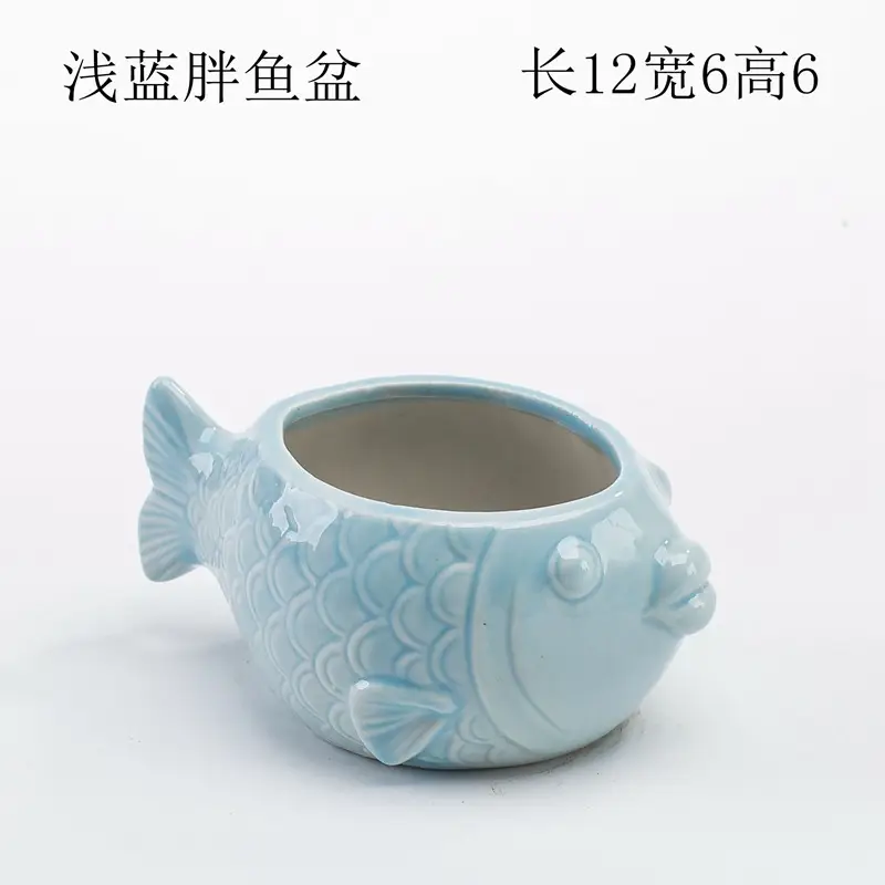 Ocean Fleshy Flower Pot Ornaments Cute Cartoon Whale Shell Meat Plant Small Flower Pot Cross-border Special for Wholesale — feature 3