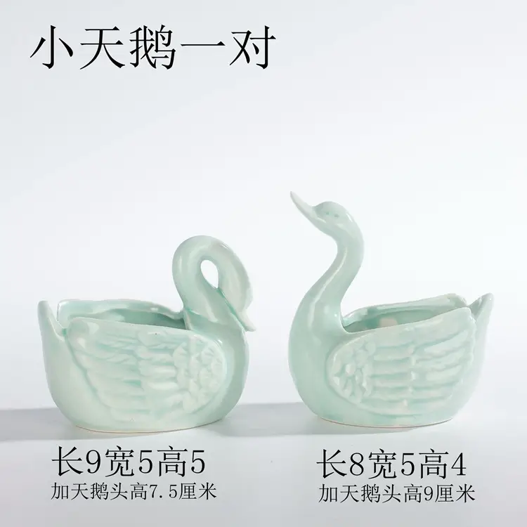 Ocean Fleshy Flower Pot Ornaments Cute Cartoon Whale Shell Meat Plant Small Flower Pot Cross-border Special for Wholesale — feature 4