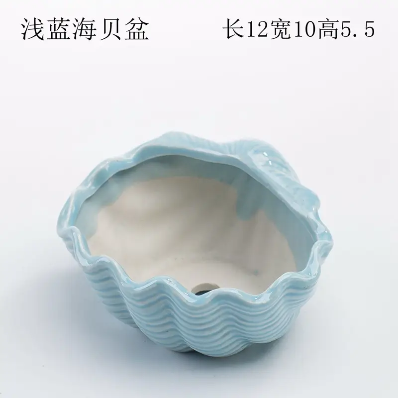 Ocean Fleshy Flower Pot Ornaments Cute Cartoon Whale Shell Meat Plant Small Flower Pot Cross-border Special for Wholesale — feature 5