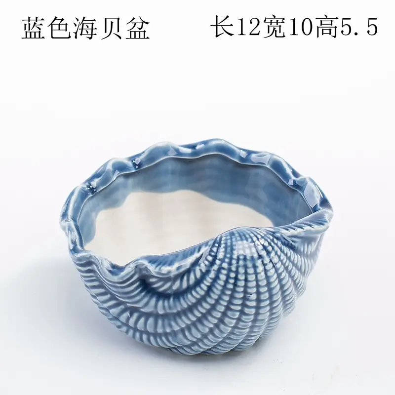 Ocean Fleshy Flower Pot Ornaments Cute Cartoon Whale Shell Meat Plant Small Flower Pot Cross-border Special for Wholesale — feature 6