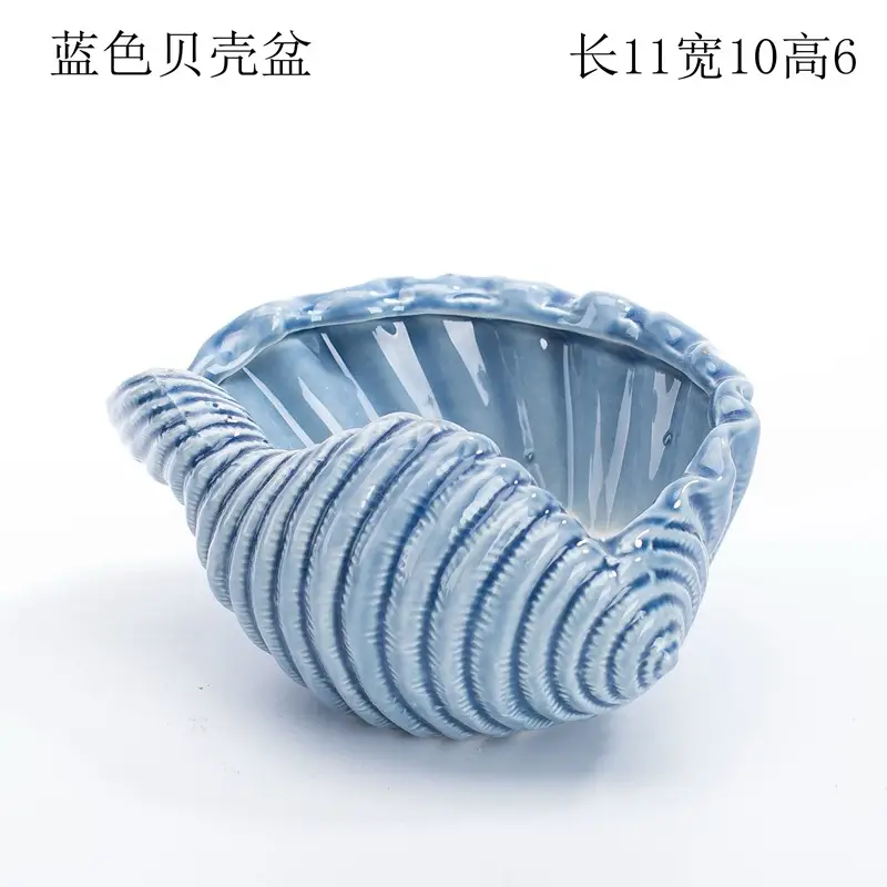 Ocean Fleshy Flower Pot Ornaments Cute Cartoon Whale Shell Meat Plant Small Flower Pot Cross-border Special for Wholesale