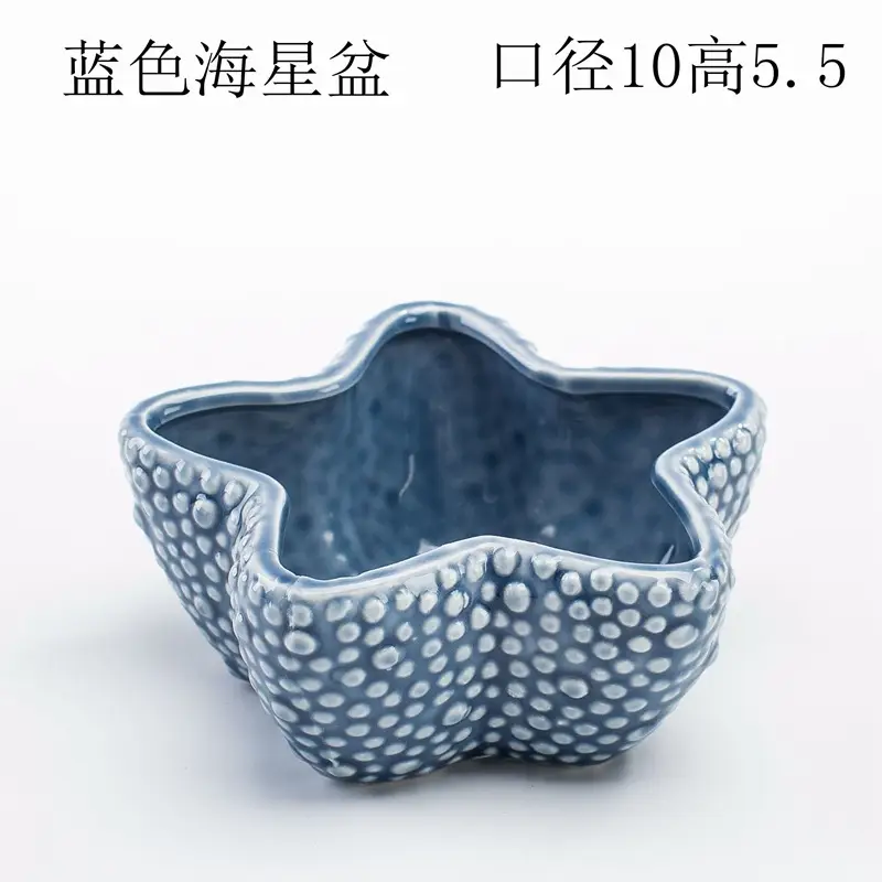 Ocean Fleshy Flower Pot Ornaments Cute Cartoon Whale Shell Meat Plant Small Flower Pot Cross-border Special for Wholesale