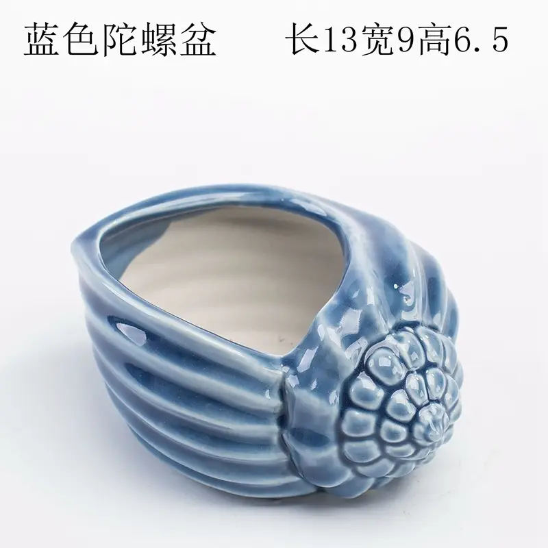 Ocean Fleshy Flower Pot Ornaments Cute Cartoon Whale Shell Meat Plant Small Flower Pot Cross-border Special for Wholesale