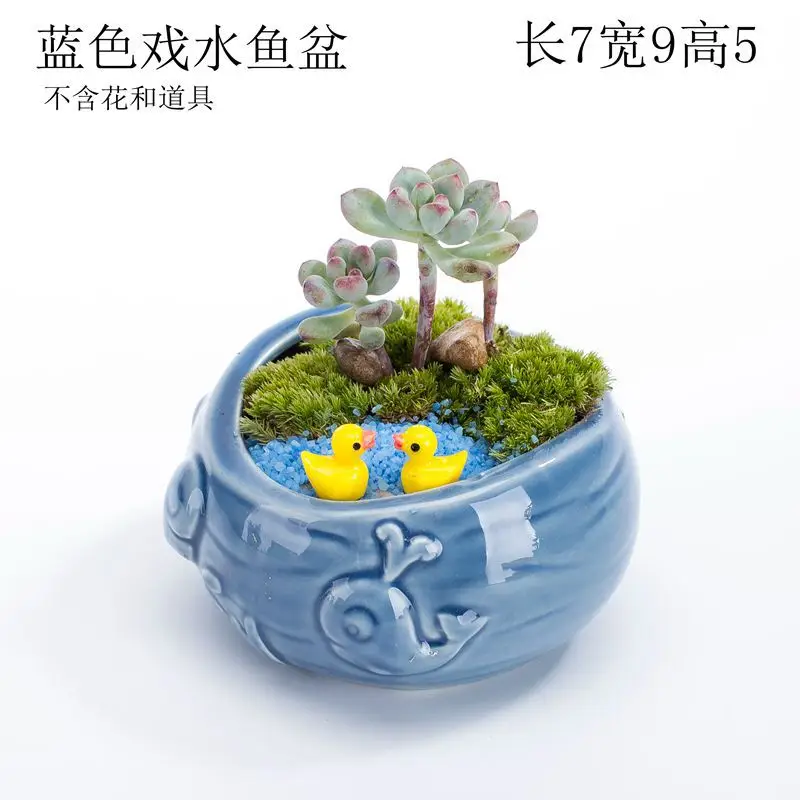 Ocean Fleshy Flower Pot Ornaments Cute Cartoon Whale Shell Meat Plant Small Flower Pot Cross-border Special for Wholesale